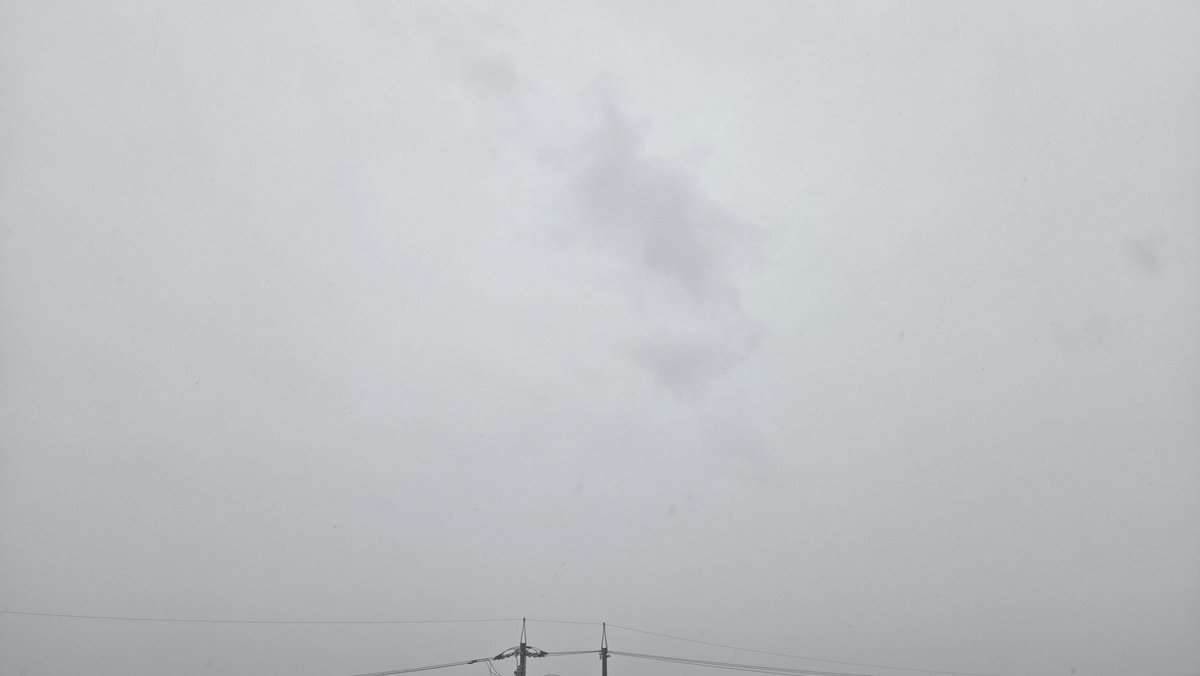 冷たい雨がずっと降ってて寒い