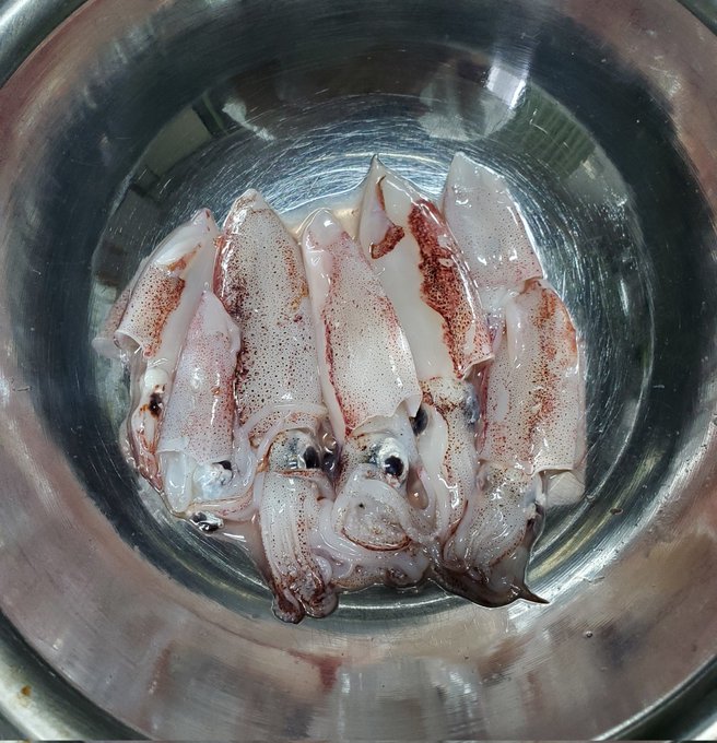 魚捌いてたら出てきた。
食べていいか?🦑 