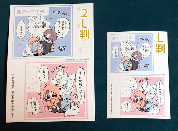 実物画像🩵💚🐕
 ※参考にしていただけたら幸いです。 
スマホのサイズにもよりますが、L版だとスマホケースに入ると思います!個人でお好きに貼ったり飾ったりして楽しんでいただけたら幸いです(n*'ω`*n)♡ 