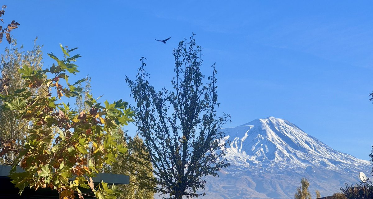 Böyle bir günaydın 🌞