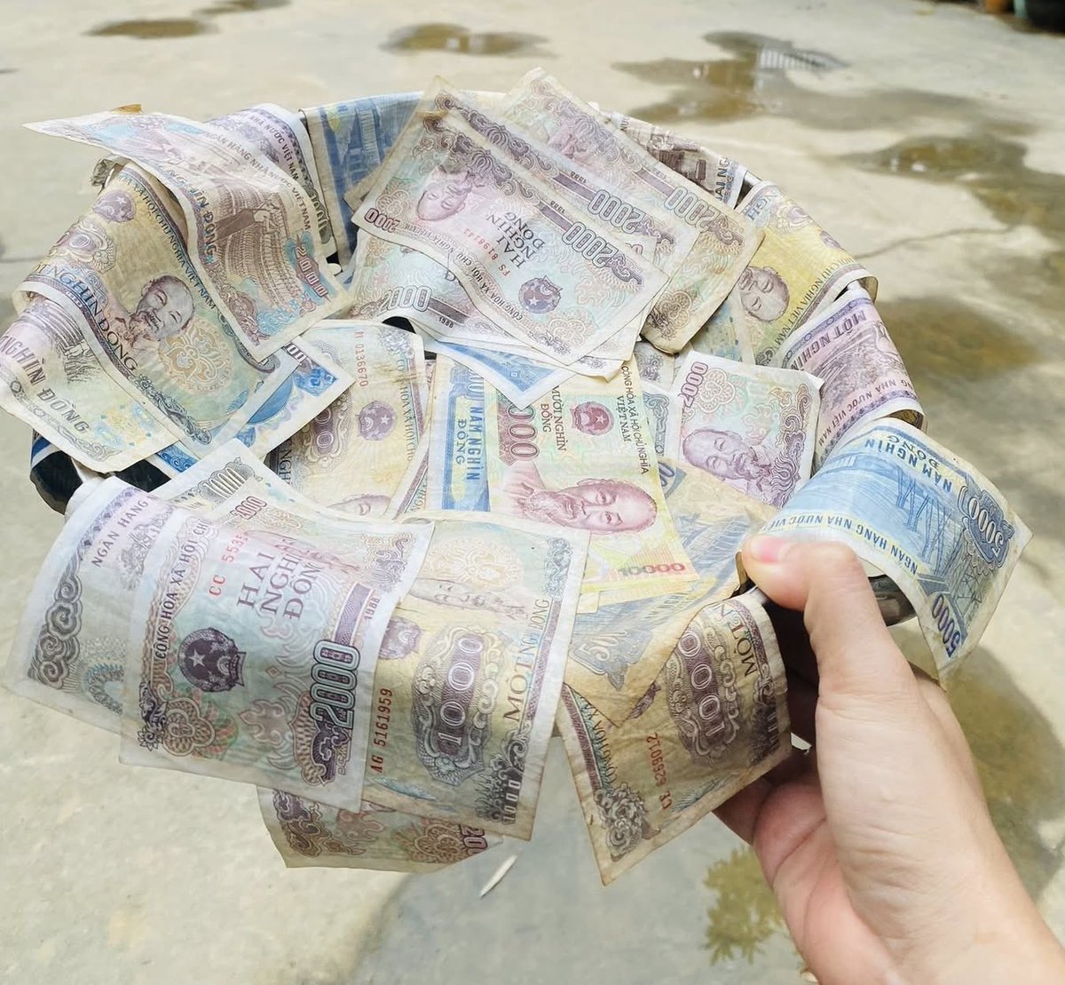Lụt vào đến tiền cũng phải rửa 😌