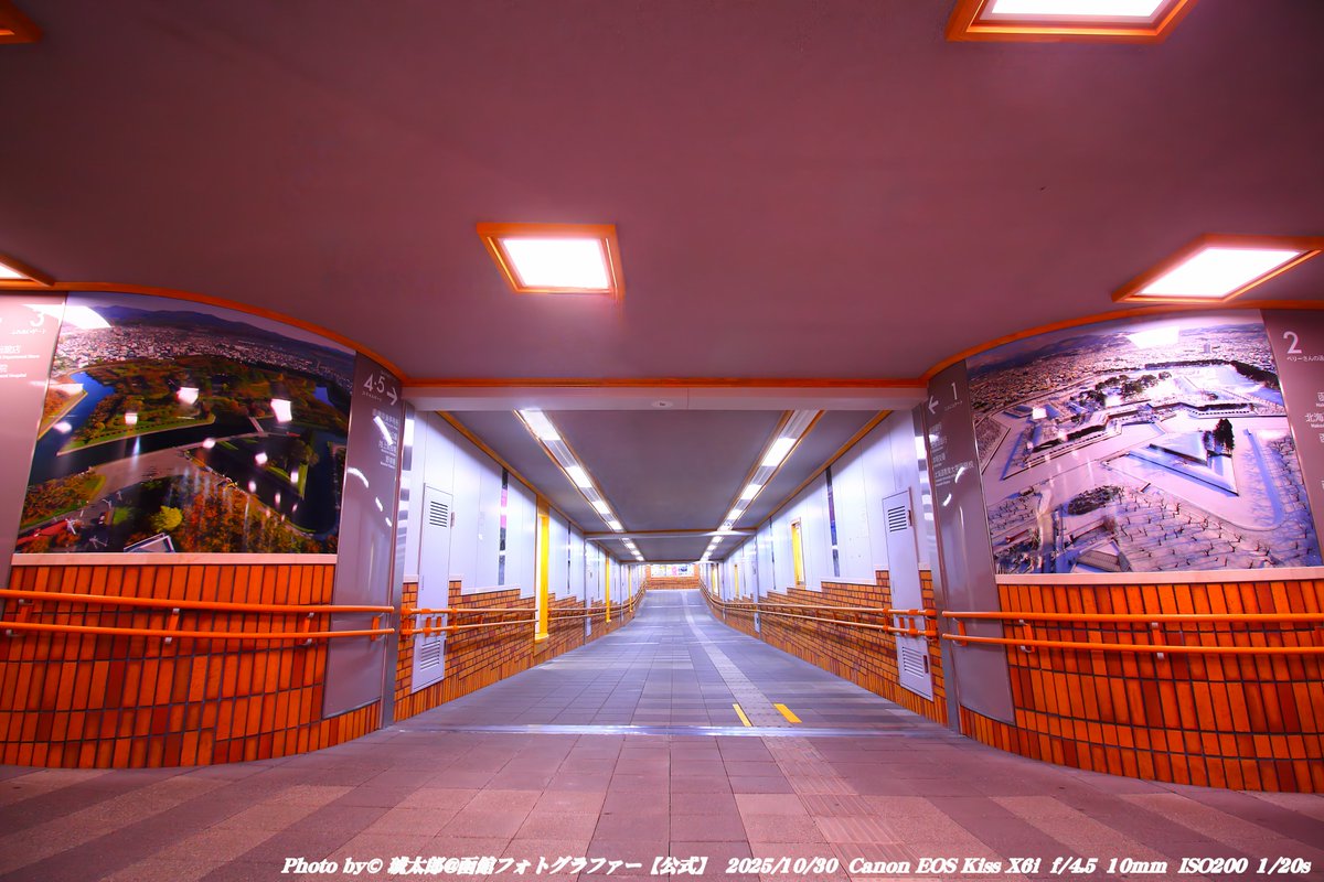 Shyokunin_k's tweet image. 皆さんどうも
今回の函館風景スナップ写真は

📍撮影日：2025年10月30日（木）／撮影地：函館市本町・五稜郭エリア

久々に、函館の「今」を美しく切り取った夜景スナップをご紹介します✨
今回の撮影は五稜郭公園前電停付近からスタート。…