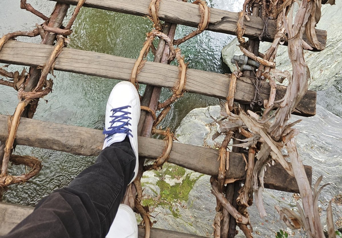 小泉みゆきさんが言ってるかずら橋。
確かに人間が落ちるような橋ではない…