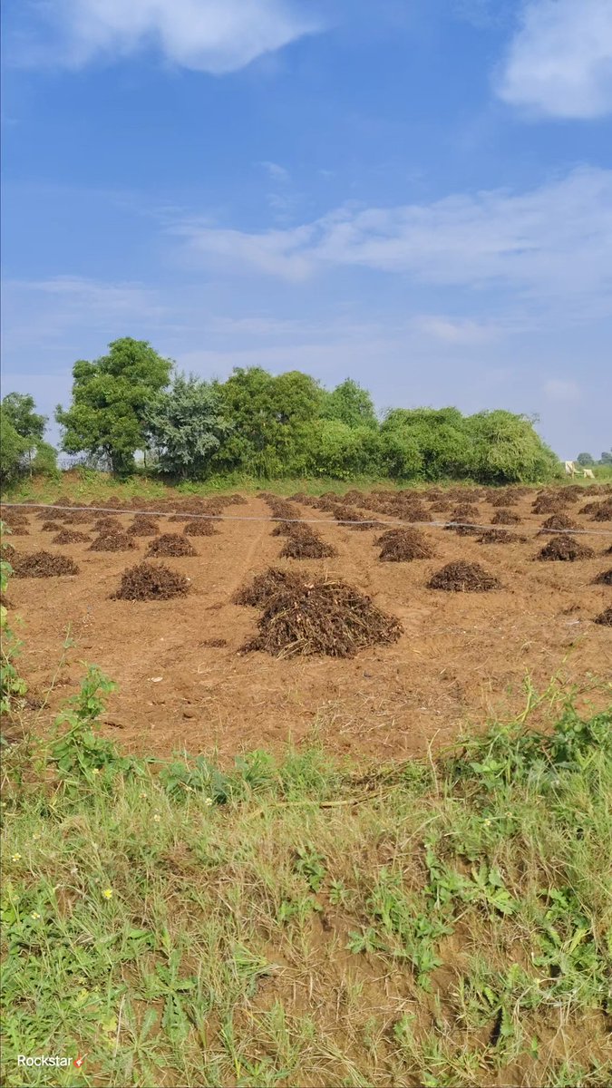 its_govind_008's tweet photo. સતત 4 થી 5 દિવસ વરસેલ વરસાદ ના લીધે મગફળી ના પાક વ્યાપક નુકસાન,
ખેડૂત ની 4 મહિના ની મહેનત પર પાણી ફરી વળ્યું છે.
તો ઉત્તર ગુજરાતના નેતાઓ અને ગુજરાત સરકાર ને નમ્ર અપીલ કે ખેડૂતો ને વળતર આપે.
#जय_जवान_जय_किसान #किसानों_को_मुआवजा_दो #khedut #BJP #rain #વરસાદ 
@BJP4India https://t.co/5cSd27330Y
