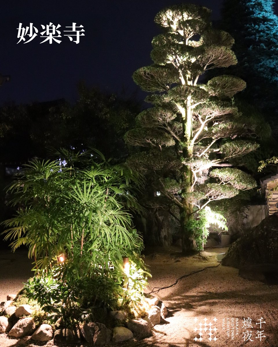 博多旧市街ライトアップウォーク　千年煌夜 tweet media