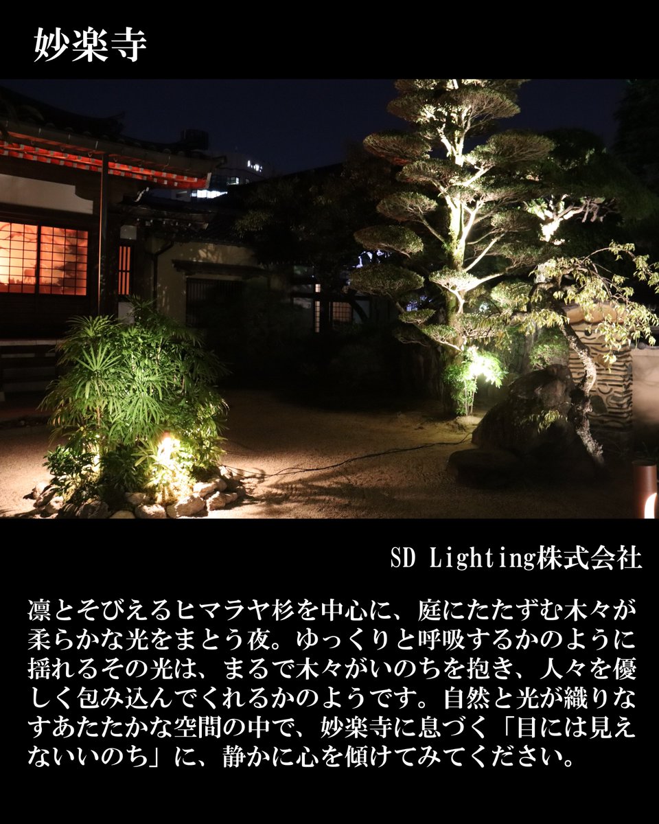 博多旧市街ライトアップウォーク　千年煌夜 tweet media