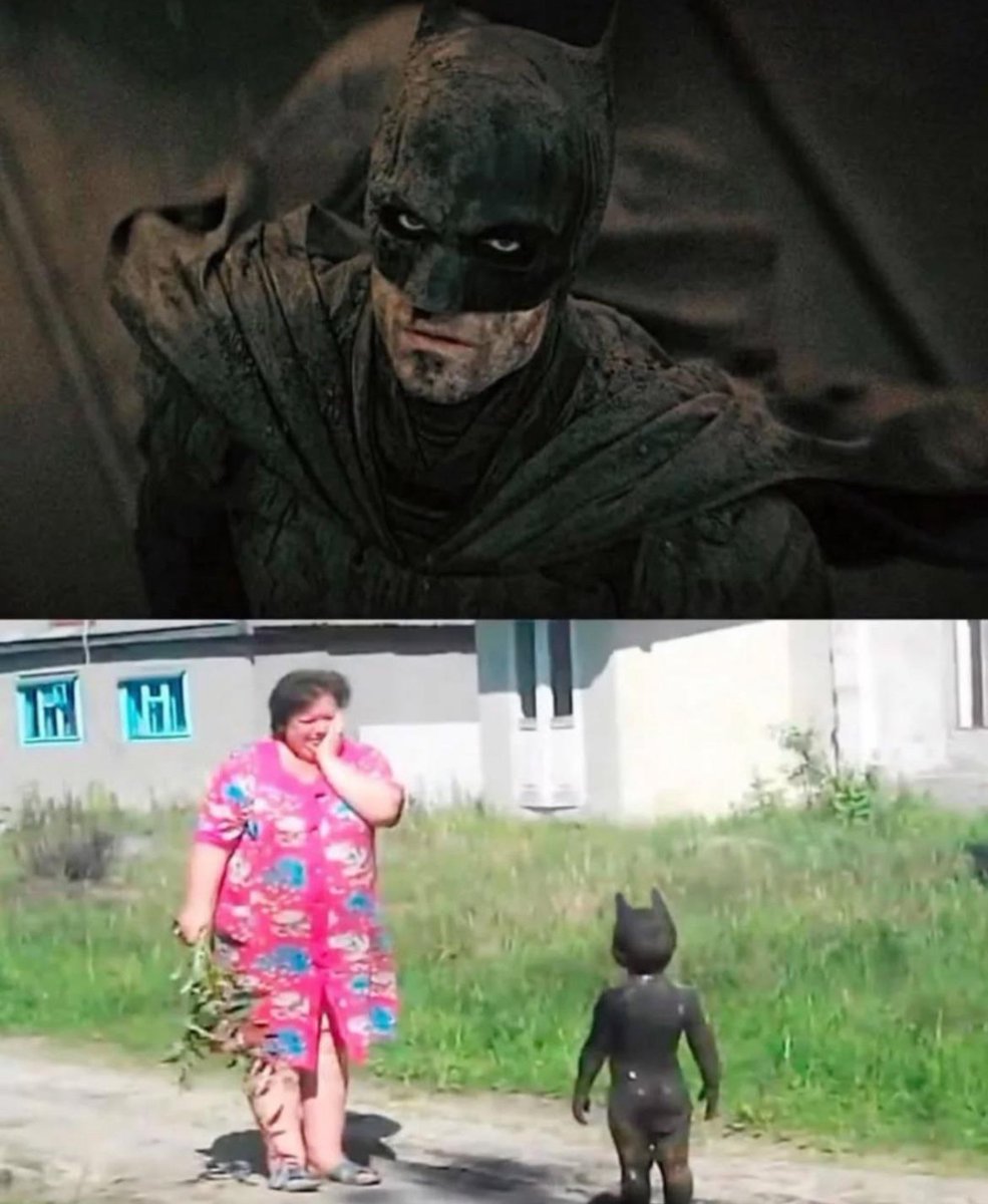 RespectfulMemes's tweet image. 