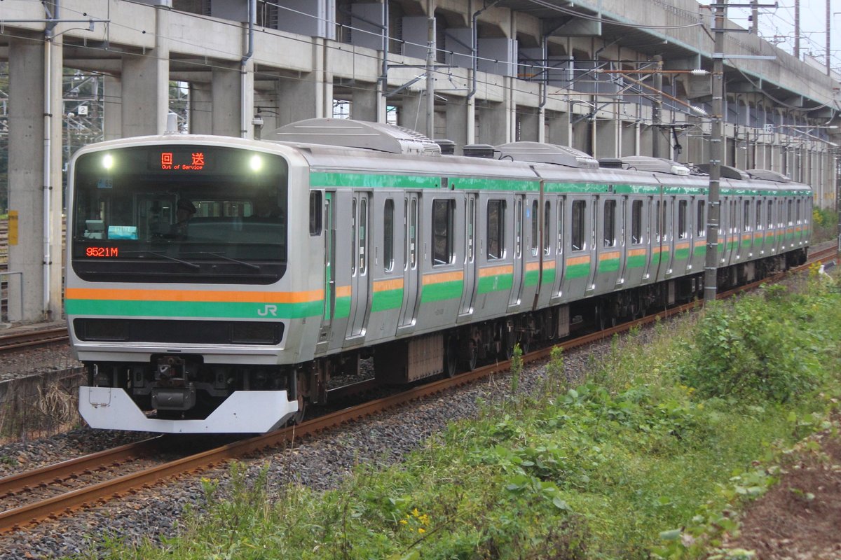 その他 maaro I952 テッレーノ ネグロアマーロ ビオロジコ｜株式会社稲葉は輸入