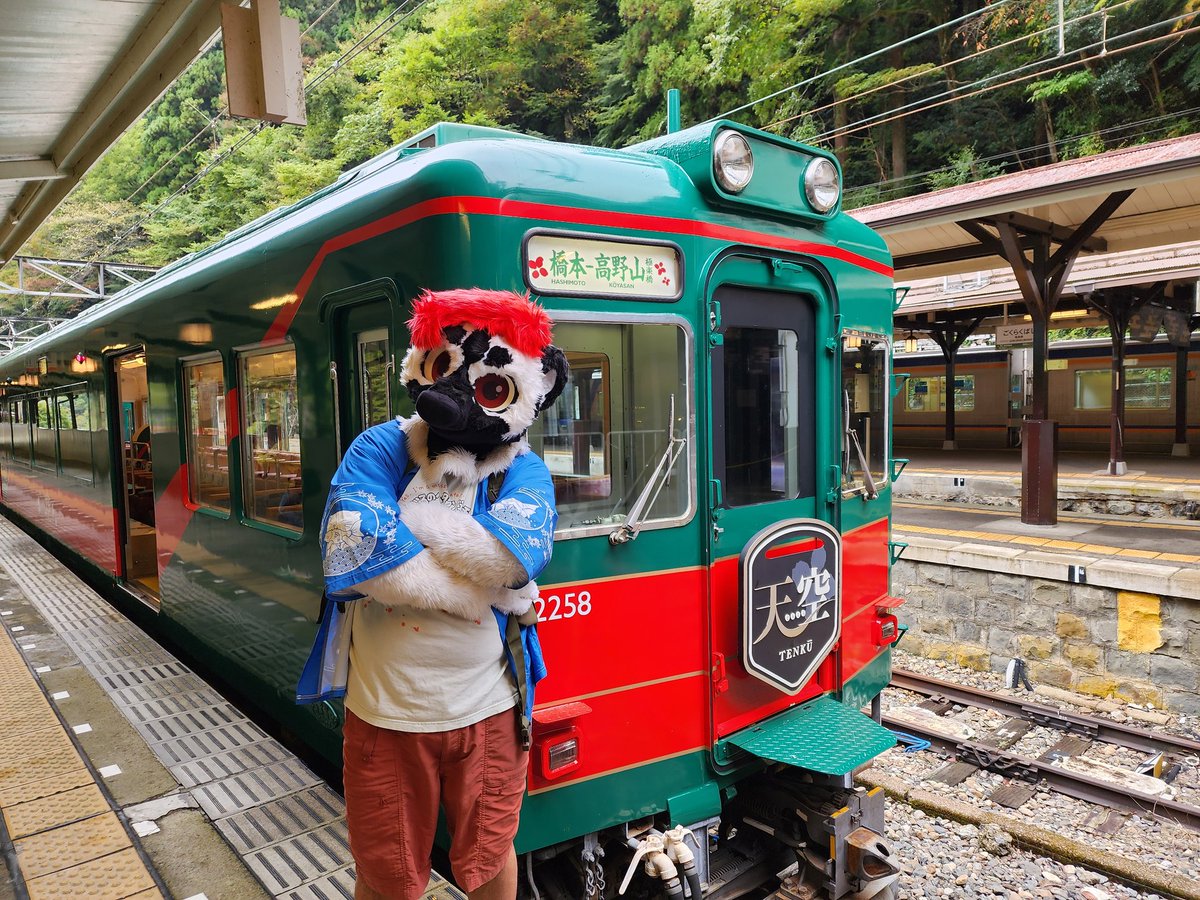 天空（てんくう)☁️
空に一緒に行こう？🚅

📷 <a href="/aozora_alien/">宙飛🐾ちゅうひ🏳️‍🌈→未定</a> 
#FursuitFriday
#南海電鉄
