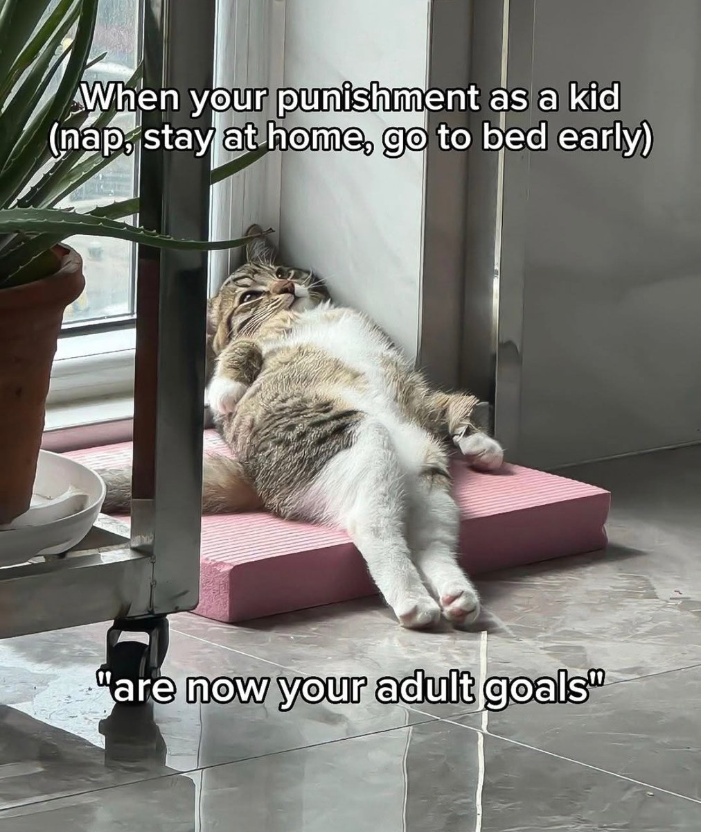 RespectfulMemes's tweet photo. https://t.co/TttXeTmYG7