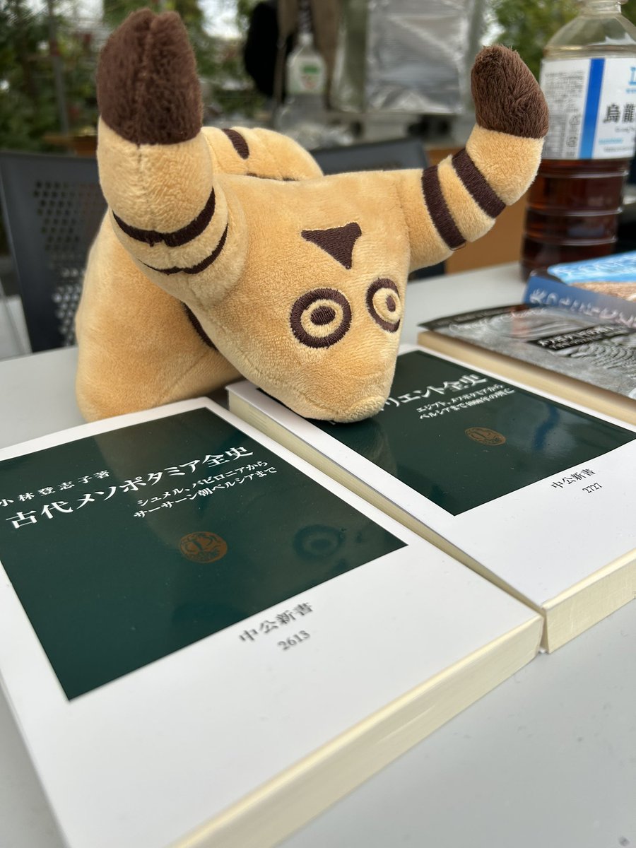 tsuru_potasa's tweet image. 本日の営業は終了です！
明日もよろしくお願いします！