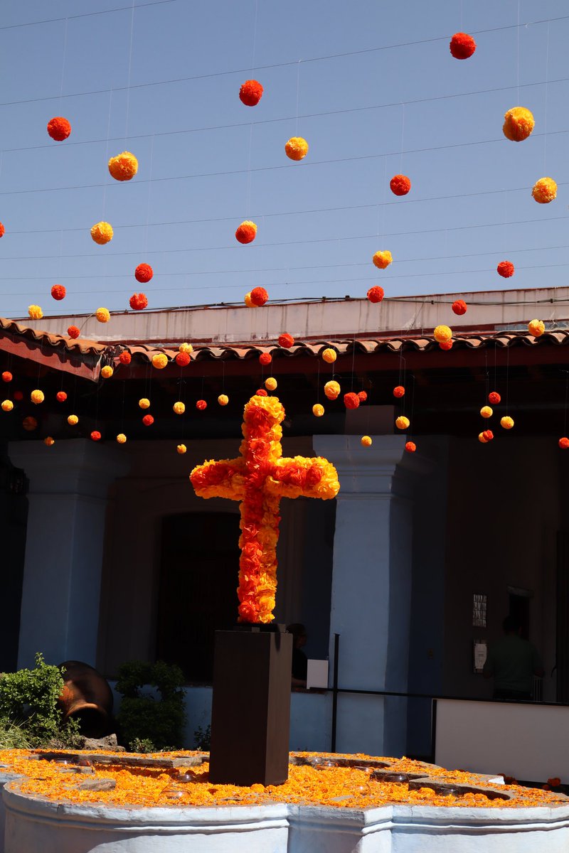 DLOL (@dlolgamer1) on Twitter photo 