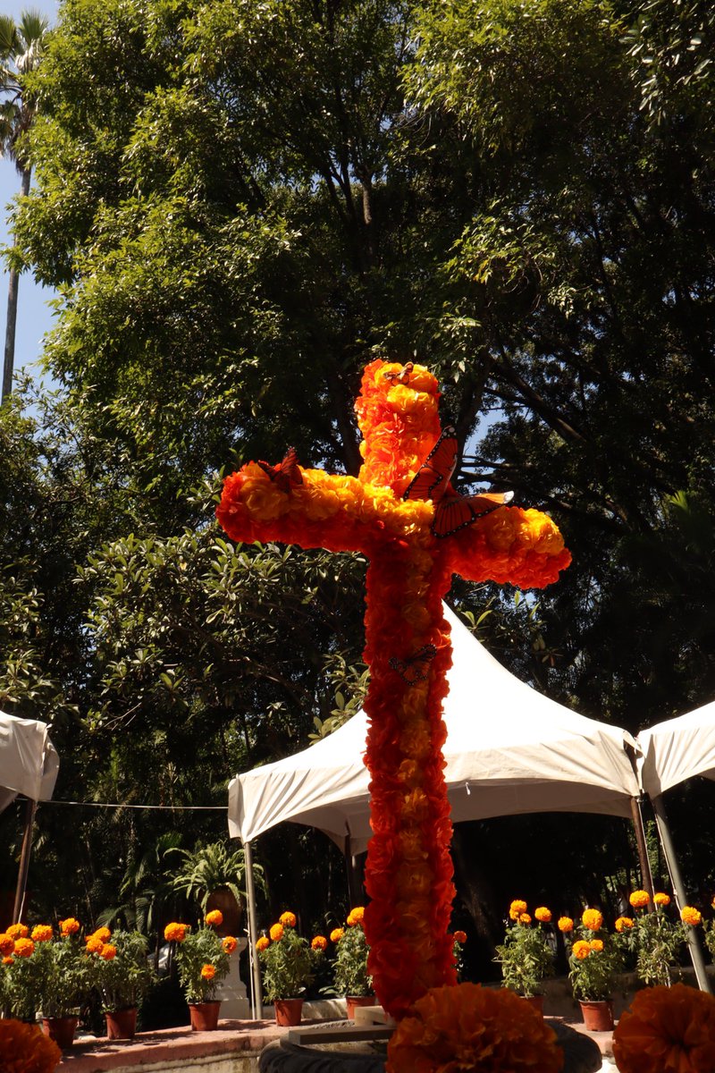 DLOL (@dlolgamer1) on Twitter photo 