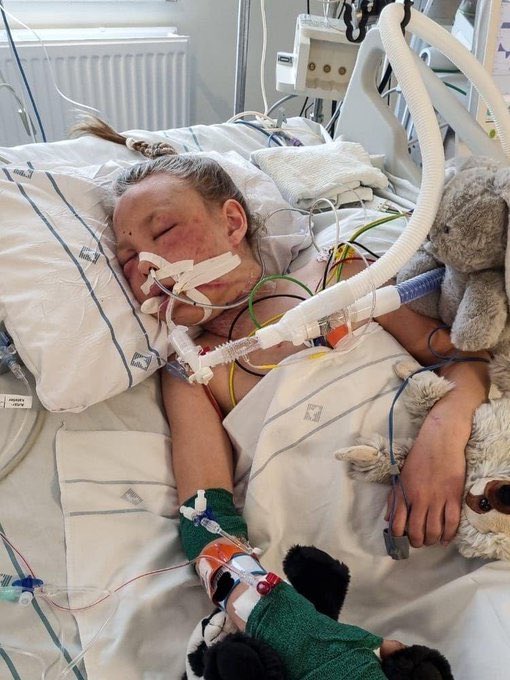 Vi förlåter aldrig sossarna för vad de gjort med Sverige. Aldrig någonsin.