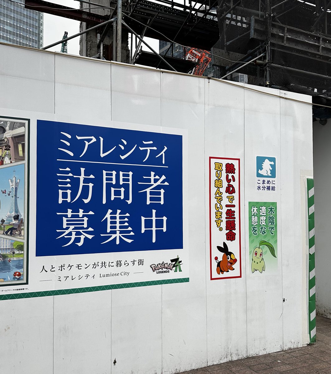 ぬまた (@bird4rbin) / Posts / X