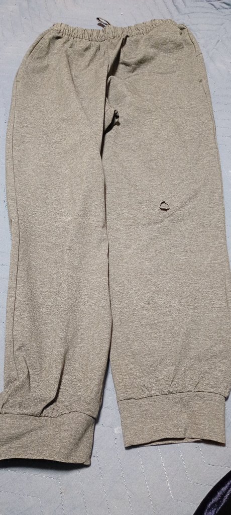 🍉紗季/かかねこ(ΦωΦ)🍉 on X