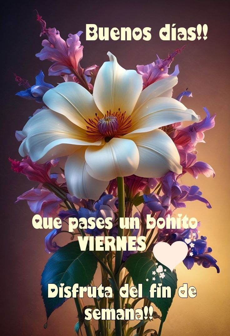 Muy buenos días, amigos 🥰 
Que tengáis un excelente y maravilloso fin de semana 🎉
lleno de bendiciones 🙏 ilusión y cariño 🧡 
🐬💖 FELIZ VIERNES 💞🦋
🧙‍♀️☕🍂🕊️🌿🇪🇸✨🌺😘