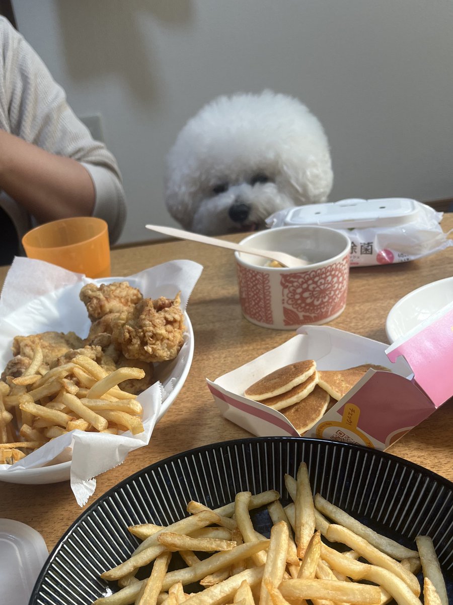 食べまくる主にひいてる妖精さん🎃