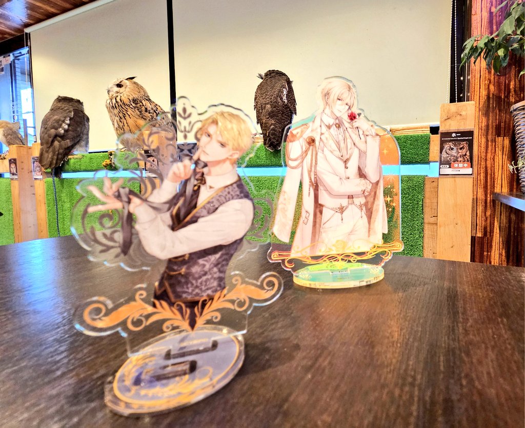 那由多🌸🌹 (@nayuta43nayu) / Posts / X