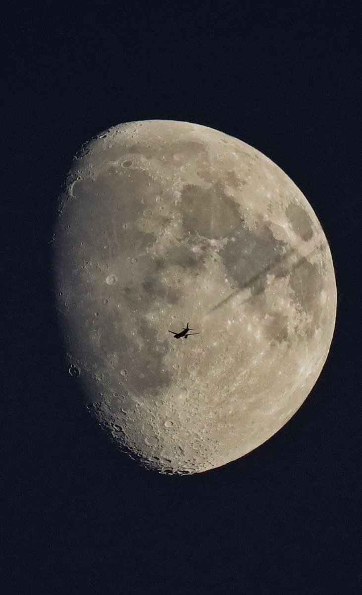 <a href="/MandyLSimard/">Mandy Simard</a>