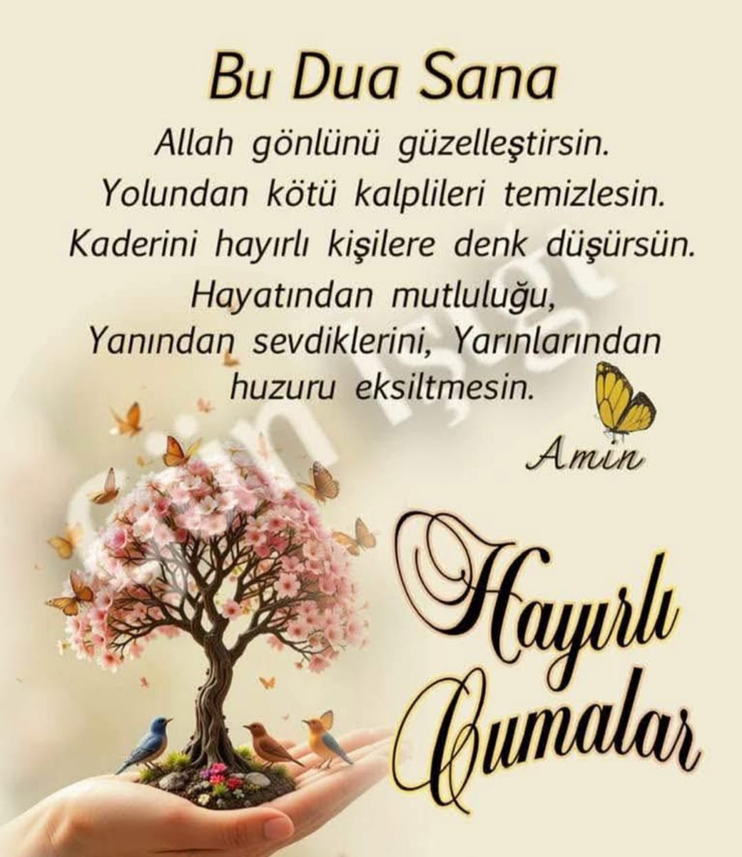 İSA BAŞER (@sabaer16) on Twitter photo 