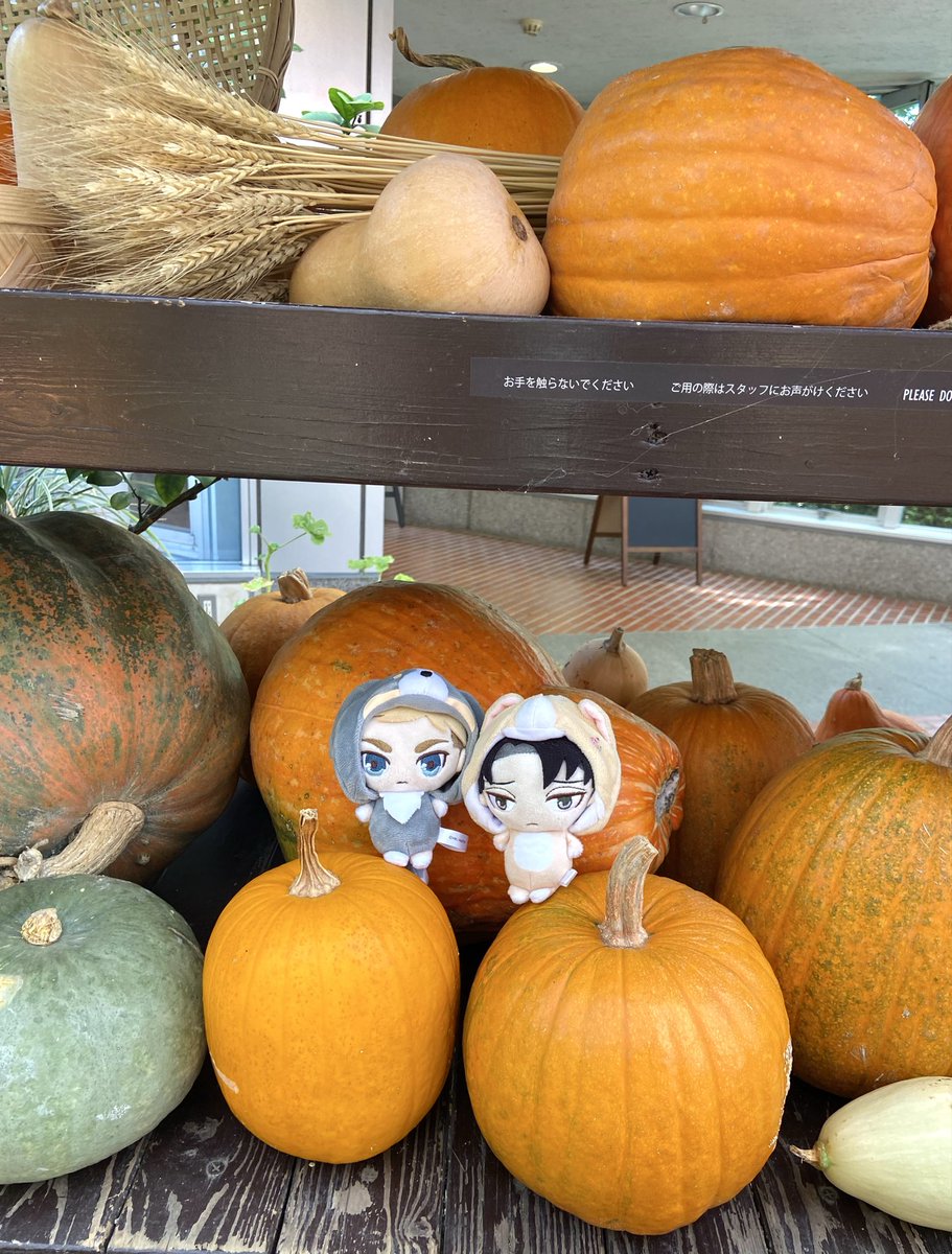 ゆうりんページ VC-074 塗ラッチ 1個 WAKI(和気産業) 【通販モノタロウ】