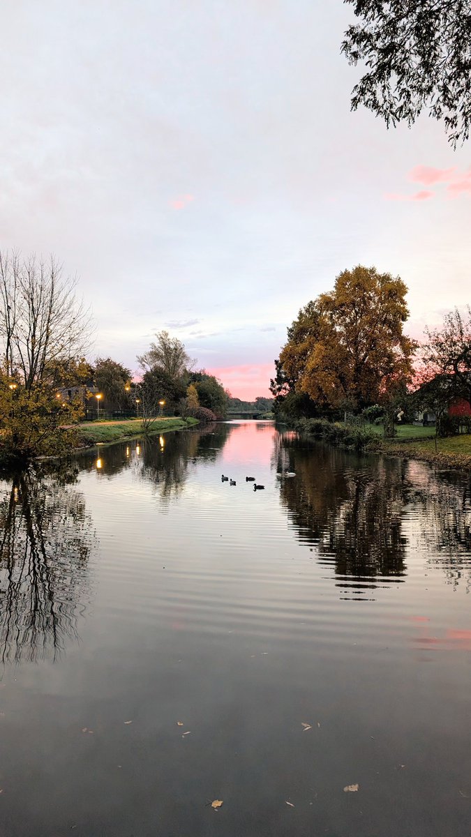 Goedemorgen. Laatste. Bedankt brug, bedankt Berkel, bedankt vogels, bedankt ochtendgloren. En bedankt volgers.