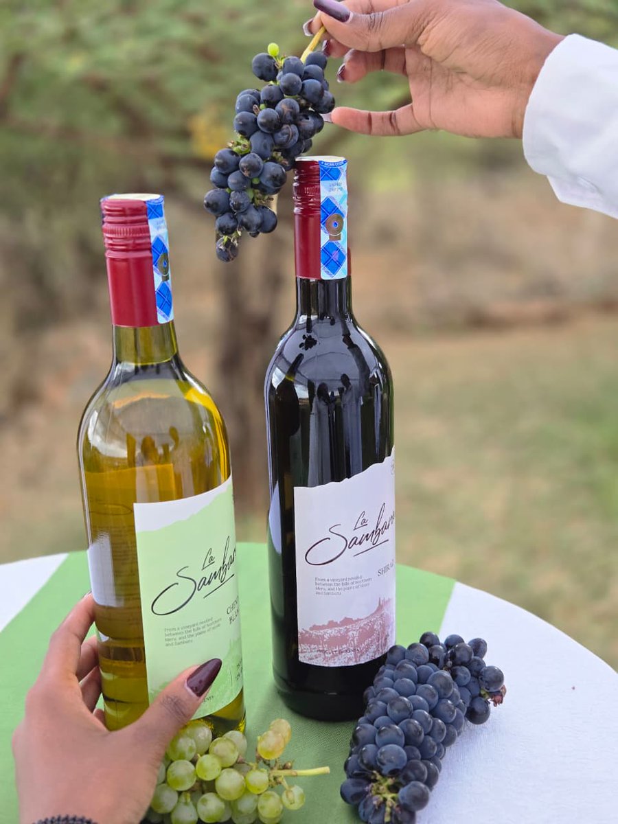 La Sambara Wines tweet media