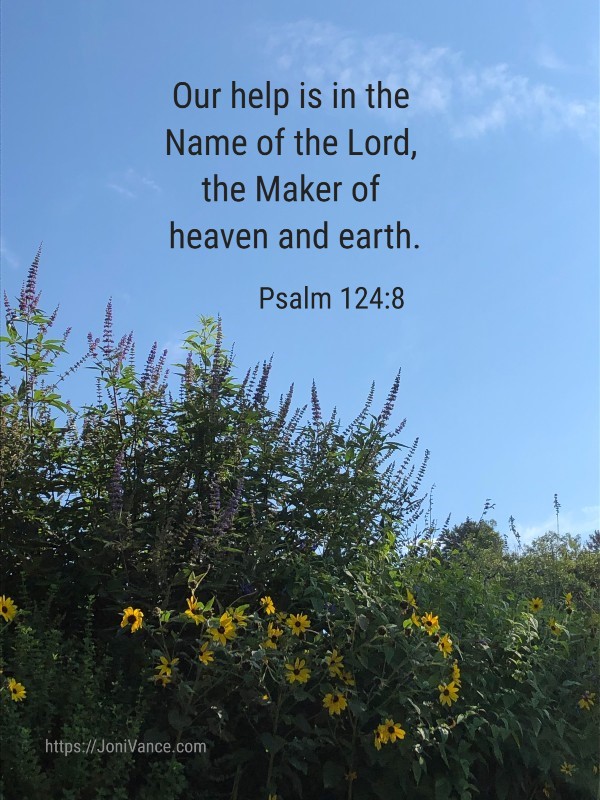 Thankful for God's help, protection, and love. What are you grateful for? JoniVance.com