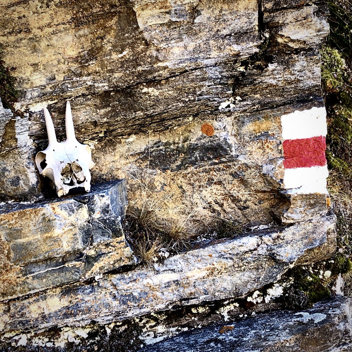 bergwelt_me's tweet image. Von Freunden aus dem Ausland höre ich oft, dass die Wanderwege in den Schweizer Bergen super präpariert wären. 🏔🇨🇭 Stimmt! Und wir schmücken sie neuerdings auch für #Halloween. 💀🎃

#Bergwelt #Schweiz #Herbst #Wandern