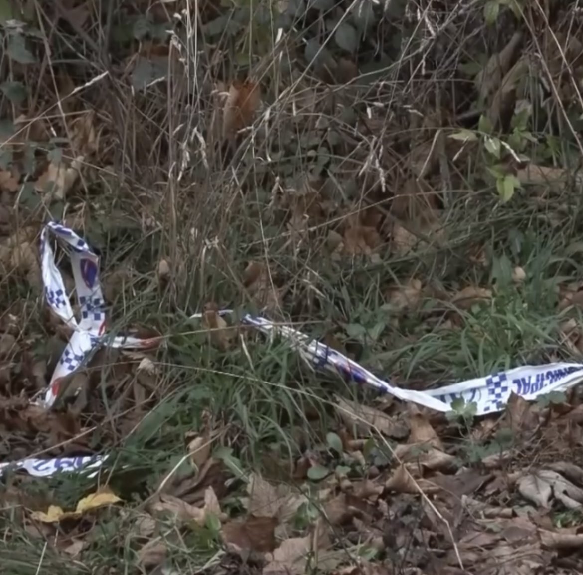 José Ramón López tweet media