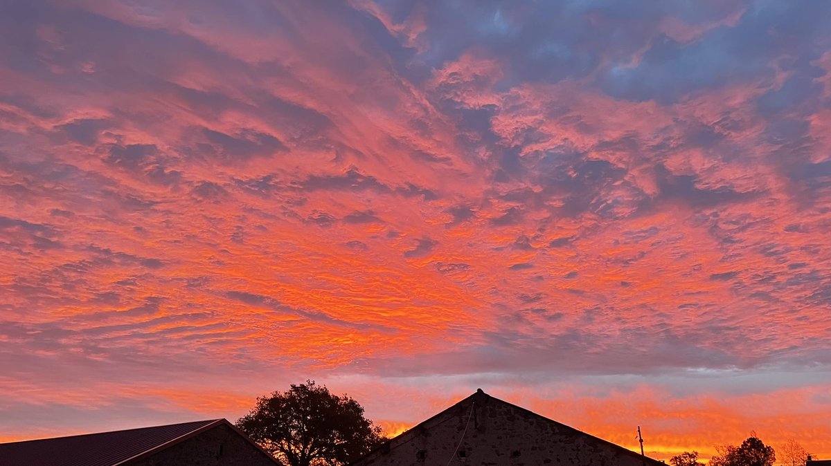 lazycrazygo's tweet image. Sunrise Halloween 🎃 style 👻