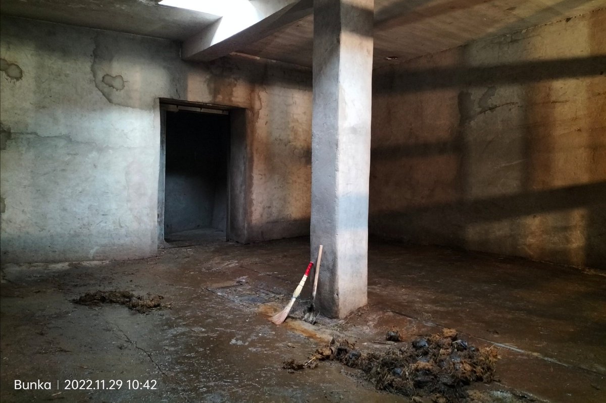 Chez_Em's tweet image. Thank you Claudia. He has a sanctuary to go to. Next week the fireworks begin in Yerevan. Imagine being stuck in that cell terrified . On his own . Cold .  A barren tiny enclosure. 
They need to give him adequate bedding. @AvinyanTigran You wouldn&apos;t keep a dog like this.