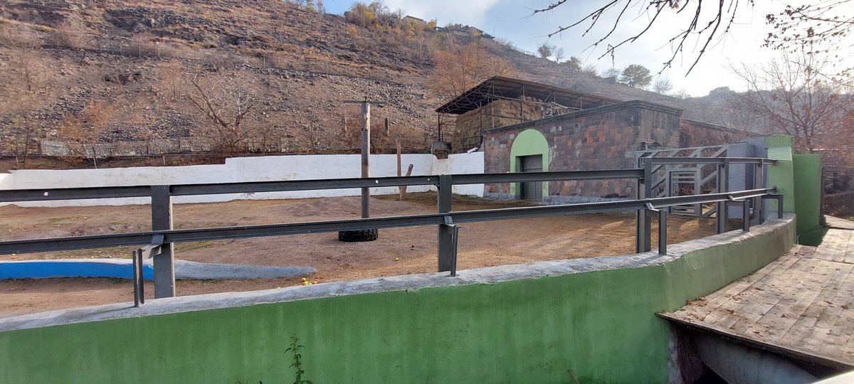 Chez_Em's tweet image. Thank you Claudia. He has a sanctuary to go to. Next week the fireworks begin in Yerevan. Imagine being stuck in that cell terrified . On his own . Cold .  A barren tiny enclosure. 
They need to give him adequate bedding. @AvinyanTigran You wouldn&apos;t keep a dog like this.