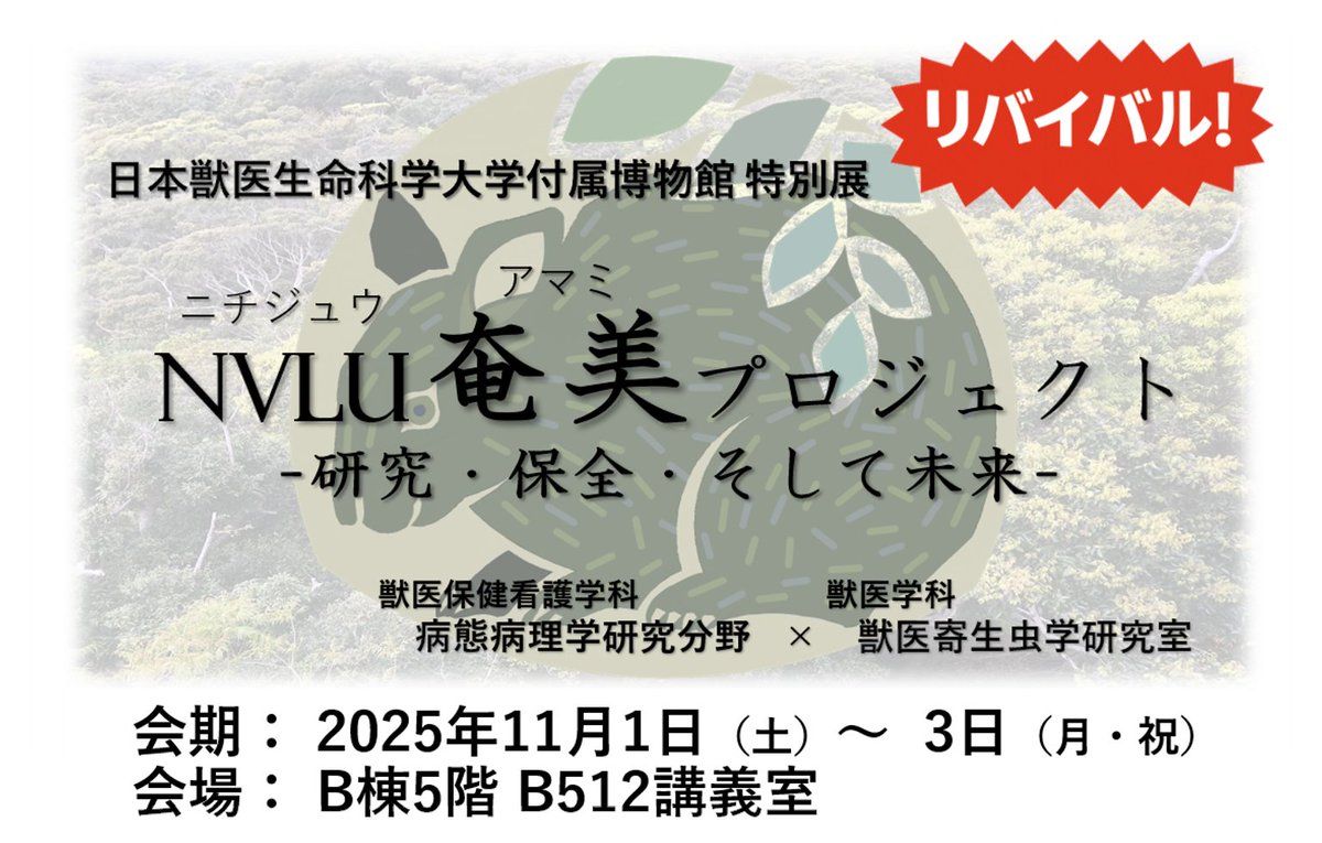 WildlifePathol's tweet photo. 奄美展、再び！奄美大島のマングース根絶にご尽力された阿部愼太郎先生のご講演に合わせて、今年の5月に閉幕した奄美大島の動物たちをテーマにした特別展をリバイバル展示いたします。学祭もやってます。ぜひご来場ください！
https://t.co/It5vn0WW6J https://t.co/v8BQ5HRiQh