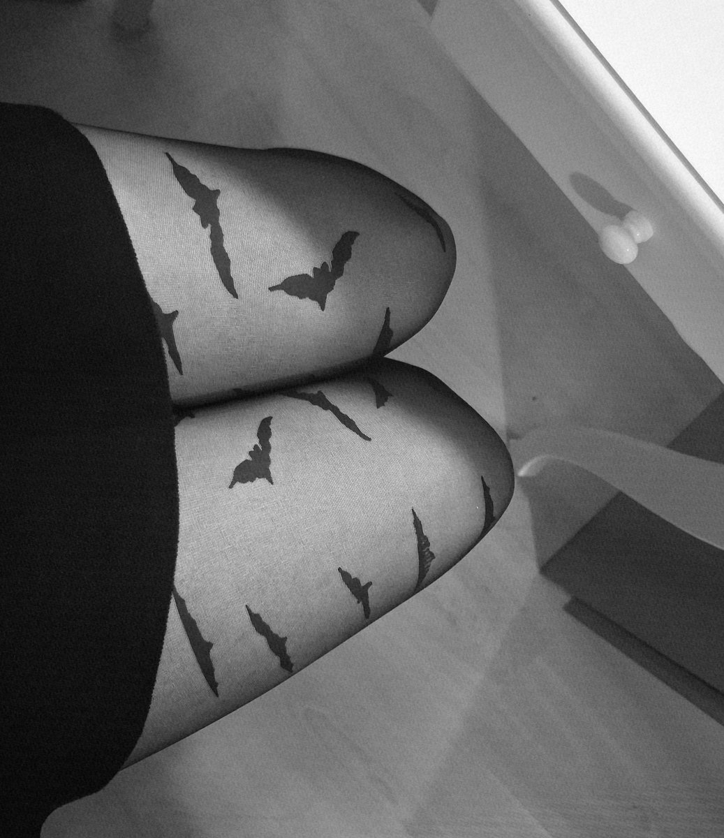 Persefona tweet media