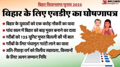 बिहार में NDA की घोषणा पत्र जारी हुआ 
जिसमें युवाओं को एक करोड़ नौकरी की
वादा किया गया है मुझे लगता है जिस तरह
देश में हर साल 2करोड़ का वादा हुआ था 
उसी तरह फिर  बिहार में कही युवा को 
ठगा न जाए, शक्तिमान ही गंगाधर है