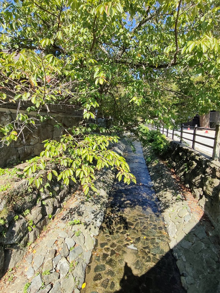 No.2【紀の里の川風景】 nekonokura on X