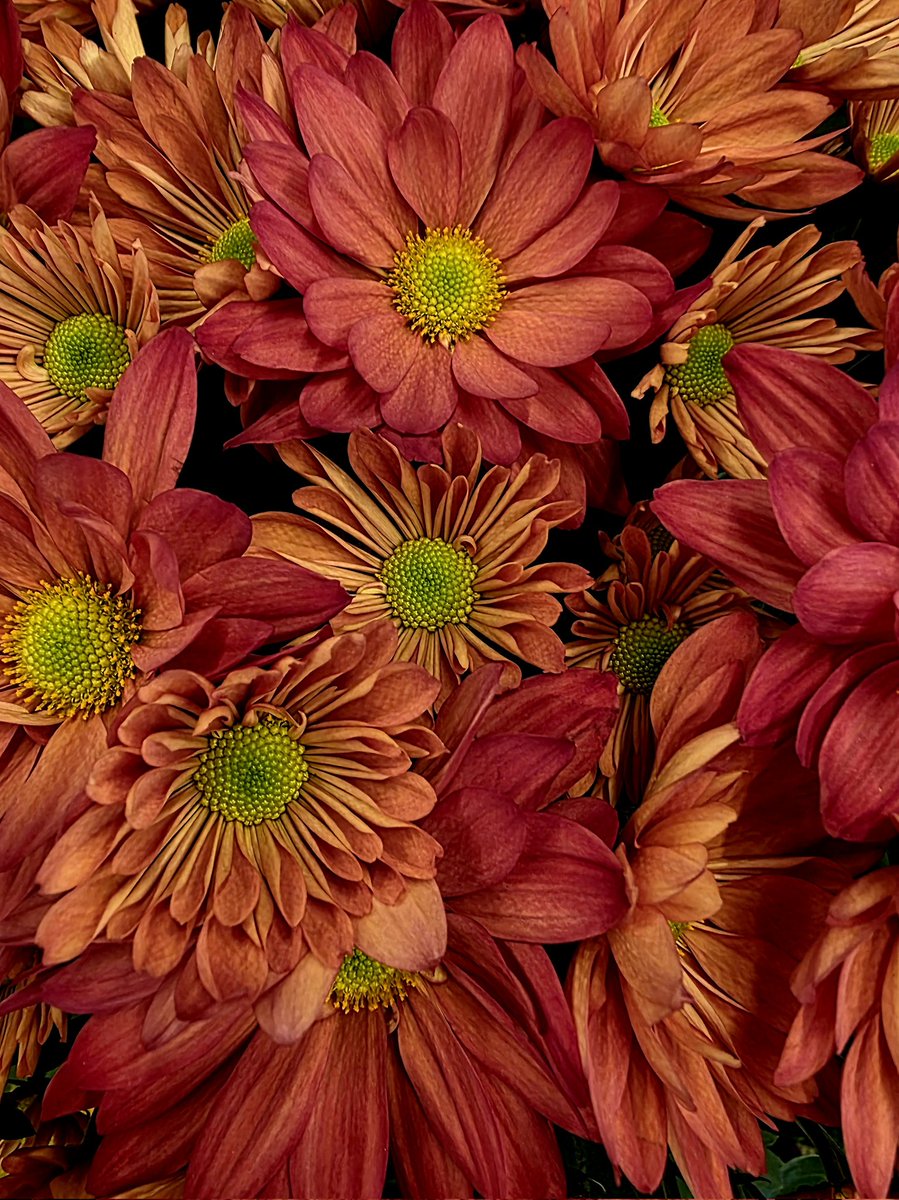 Friday morning vibes.  SoCal