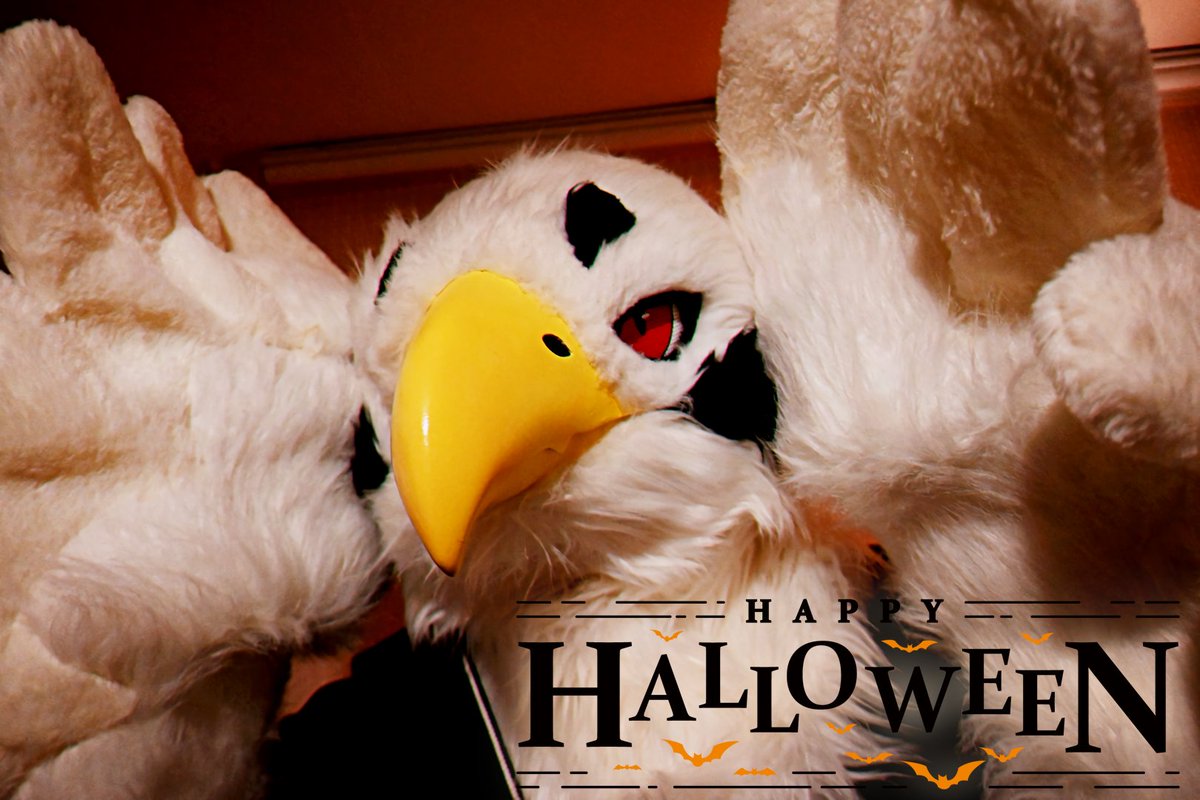 어흥~
사탕을 주십시오!
#fursuitfriday