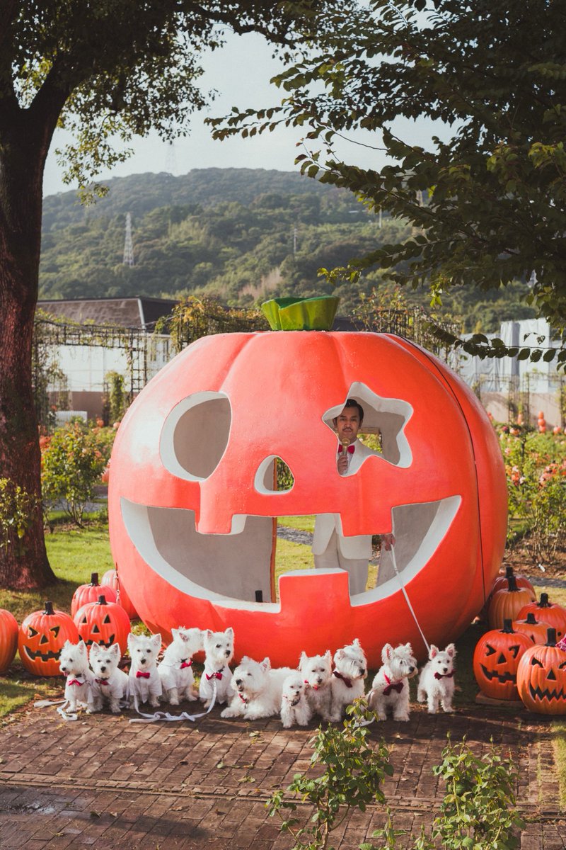 編集中ハロウィン ハッピーハロウィン。