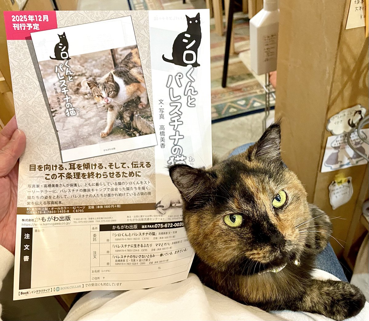 キャッツミャウブックス® on X