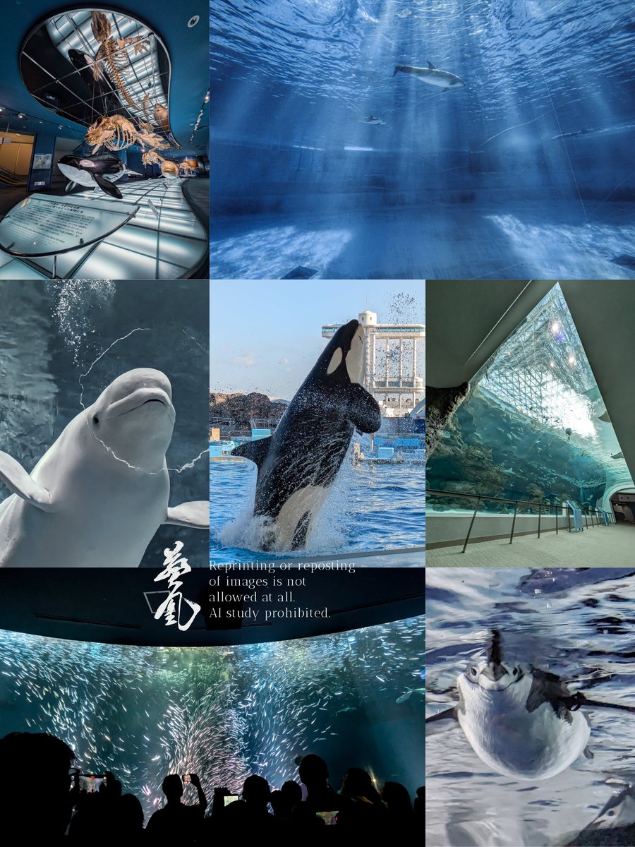 レア❗️空から見た名古屋市 レア❗️空から見た名古屋市 Nice found in Osaka !!! Once Upon a