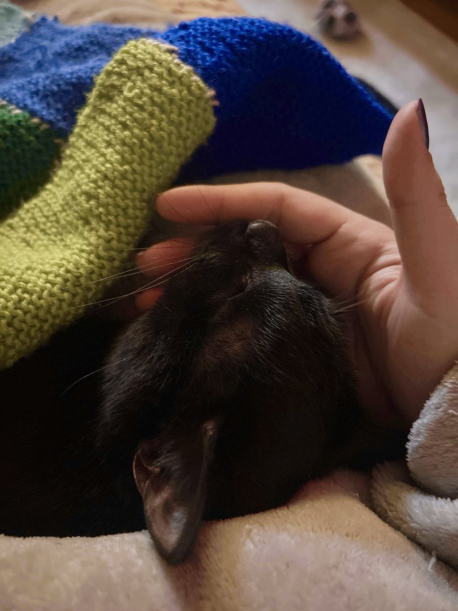 Wandaley tweet media