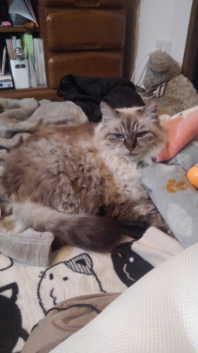 🎀はつゆき🎀 💉🇯🇵 on X