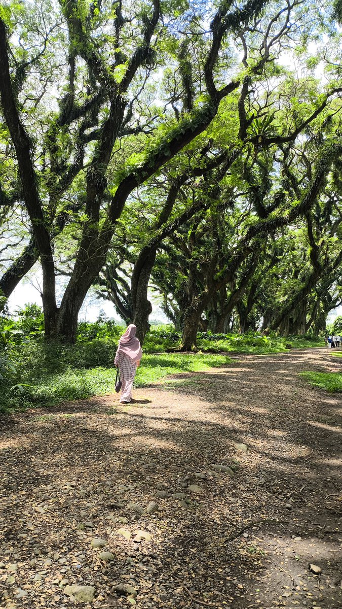 Nice try untuk bulan ini, semangat lagi bulan depan 😃