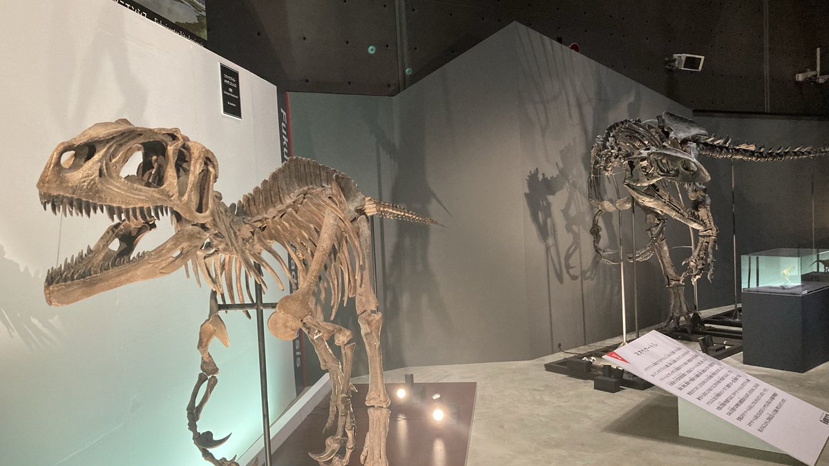 ジンベエー (@NZSjIFiJi8eDWdD) / Posts / X