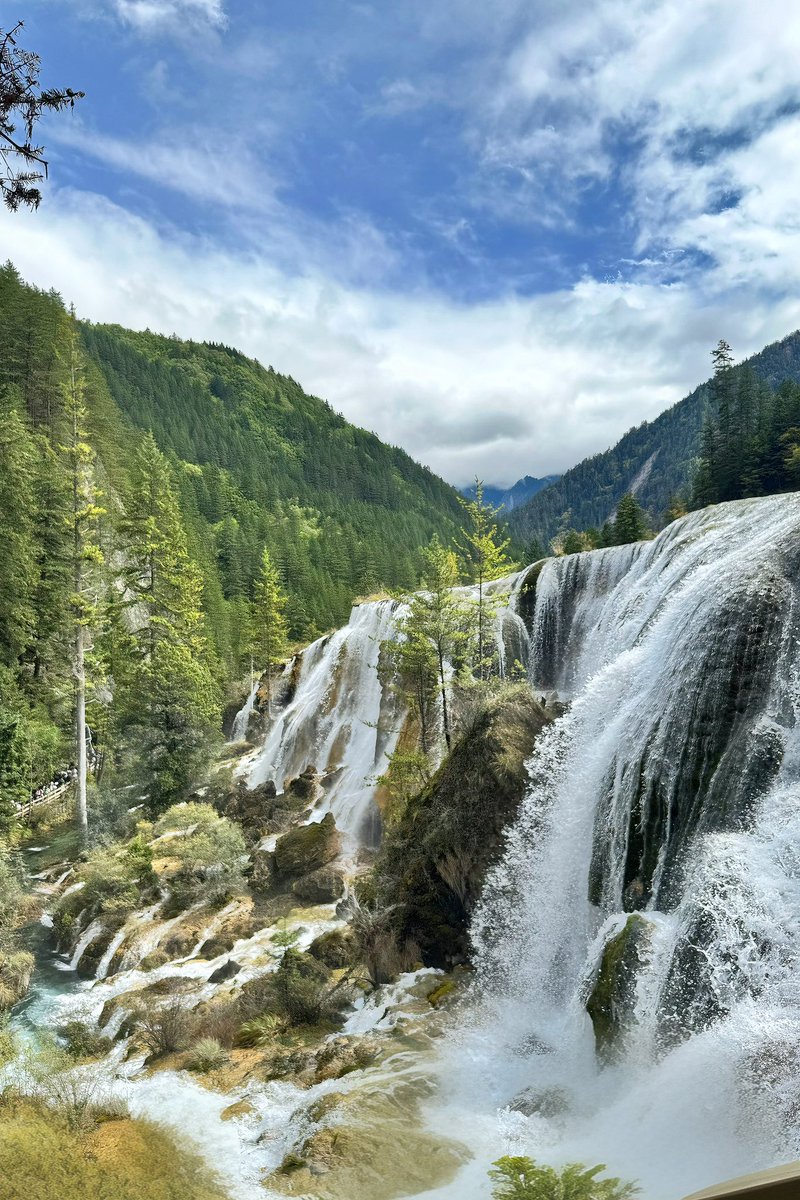 冷不冷 tweet media