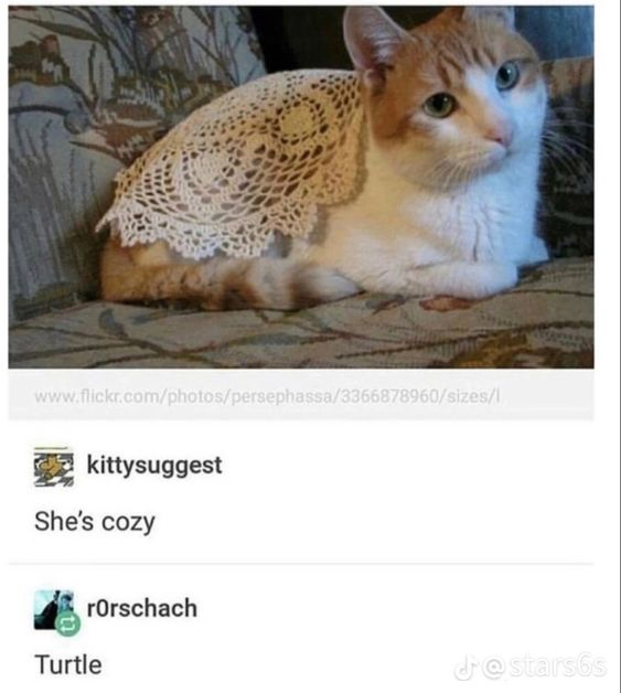 WholesomeMemes tweet media