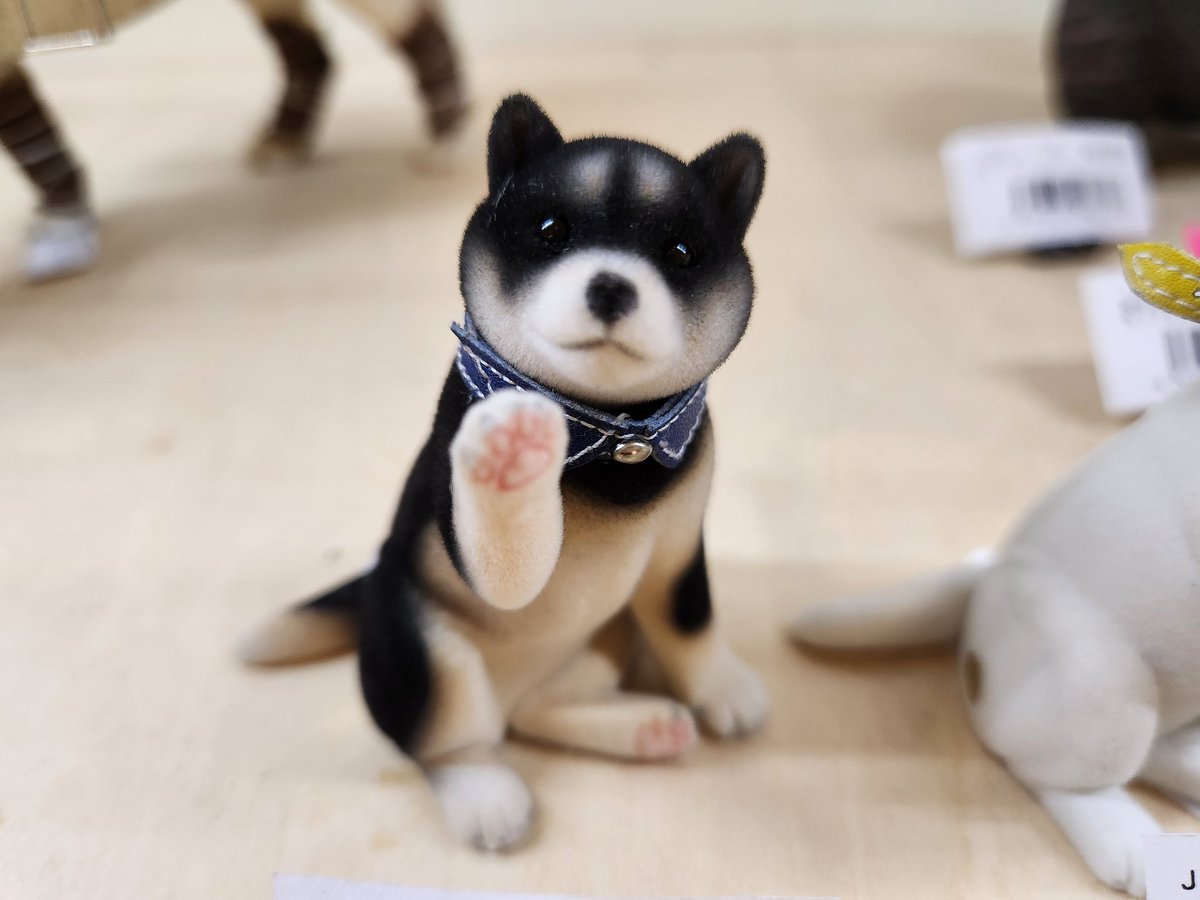 どすこいしばけん様 リクエスト 4点 まとめ商品 文教堂淀屋橋店 on X